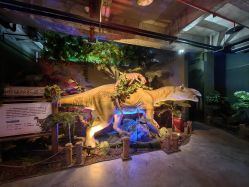 -恐龙探索乐园(磁器口店)