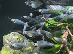 -太平洋海底世界