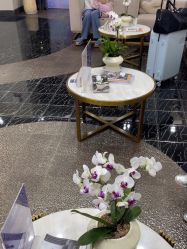 -上海首尔丽格医疗美容医院