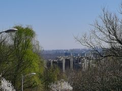 -北京鹫峰国家森林公园