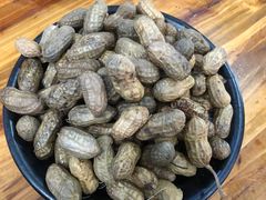 煮花生-星鸿社重庆老火锅