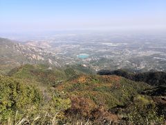 -阳台山自然风景区