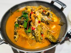 -阿露佳·舌尖上的安吉菜