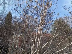 -南通博物苑-崇川人民公园