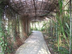 IMG_0641-茂德公草堂