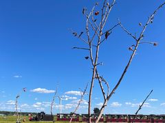 -稻梦空间冰雪小镇