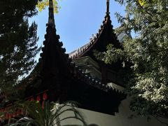 -秋霞圃