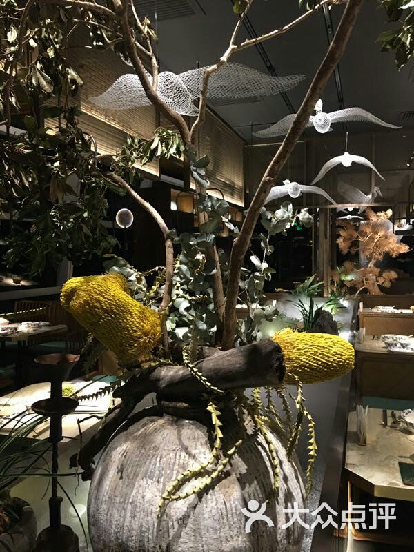 金悦利湾图片-北京潮汕菜-大众点评网