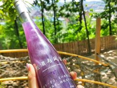 -大连北马山庄