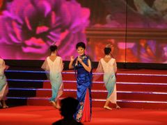 -南京奥林匹克体育中心-体育馆