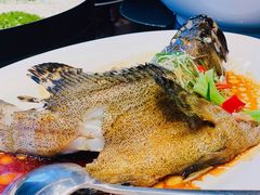 清蒸龙胆鱼-紫阳海鲜楼·传承闽味(长乐路总店)