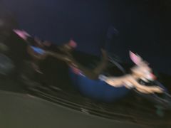 -小熊维尼历险之旅