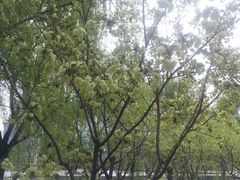 -白塘生态植物园