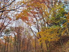 -洛阳白云山景区