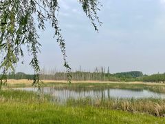 -野鸭湖国家湿地公园