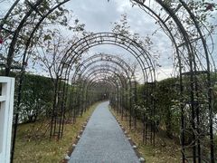 -鲤鱼洲酒店港鲤咖啡厅