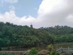 -大雁山风景区