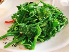 凉拌丝瓜尖-帕米尔食府(白云观店)
