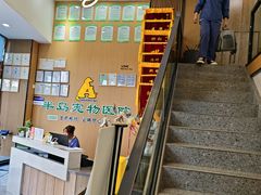 -半岛宠物医院24小时·内窥镜·牙科·碎石中心(府城大道店)