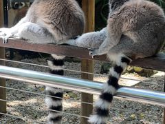 -可伦宾野生动物保护区