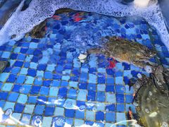 -睿柏云酒店-餐厅