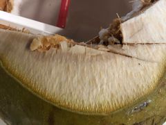 鲜椰子-纽顿熟食中心