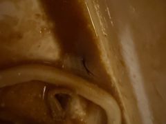 -玛格萝妮比萨屋(四平店)