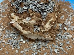 -吃饼人西餐(南开店)