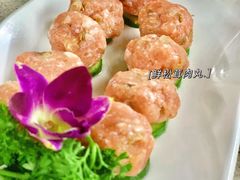 -墨脱石锅椰子鸡•香草鸭•东山羊(大东海店)