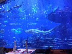 -迪拜帆船酒店海底餐厅