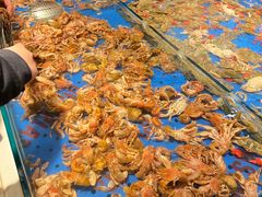 -钱库里海鲜自助(唐山街店)