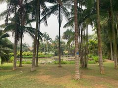 -中国科学院西双版纳热带植物园