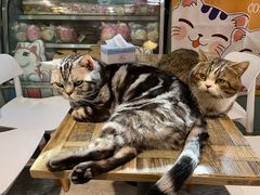 -小时光咖啡馆(北锣鼓巷店)