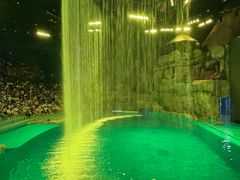 -芜湖新华联大白鲸海洋公园