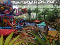 -南宫五洲植物乐园