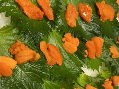 鲜活海胆-王鼎精致料理铁板烧(世博源店)