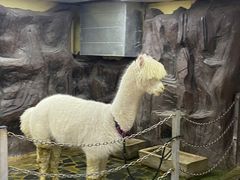 -上海大自然野生昆虫馆(东方明珠·爬宠昆虫探索中心)