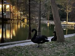 -广州市白云山风景名胜区