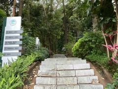 -火炉山森林公园