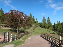 -神户市立六甲山牧场