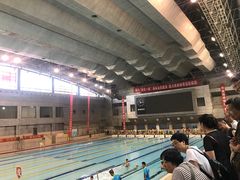 -陕西省游泳跳水馆