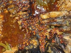 -鱼酷活鱼烤鱼(沈阳大悦城店)