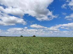 -盐城丹顶鹤湿地生态旅游区