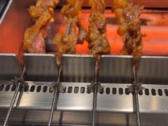 -邢氏老太太烤串(北兴街店)