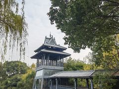 -金鸡湖桃花岛