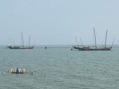 -贡湖湾湿地公园