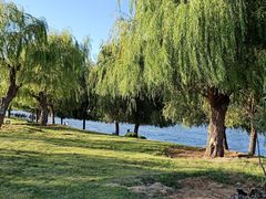 -羊亭河湿地公园