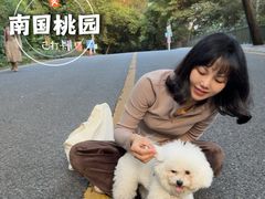 -南国桃园旅游度假区