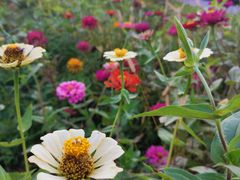 -白塘生态植物园