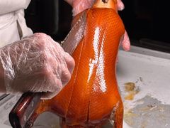 -秀儿四九城·新京菜(亚运村鸟巢店)